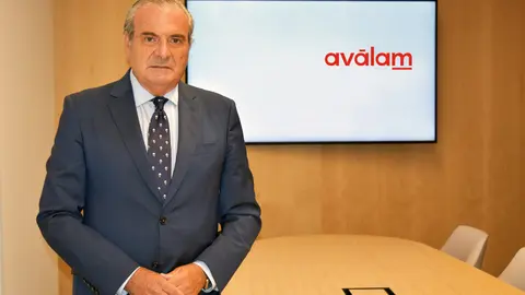 Luis Mart&iacute;nez de Salas, director general de Av&aacute;lam