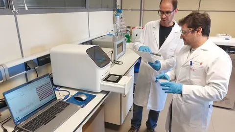 Investigadores del IMIDA, durante los trabajos de control sanitario de la vid.