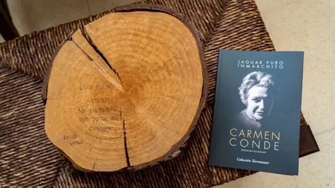 El libro y el fragmento de rama del cedro donados al Museo (Foto: Felipe G. Pag&aacute;n)
