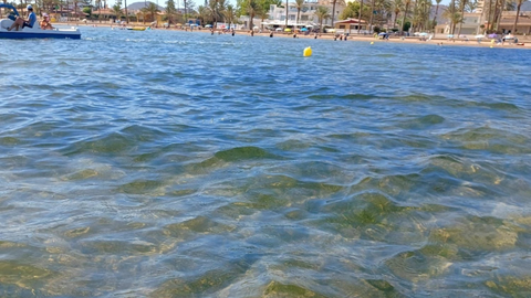 Playa del Mar Menor
