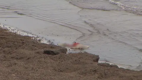 Cuerpo del buceador que ha aparecido en una playa de La Manga, junto a la urbanizaci&oacute;n Monteblanco