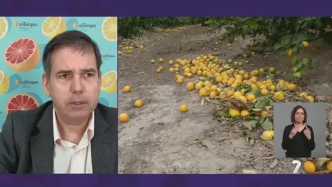 Entrevista al director de Ailimpo