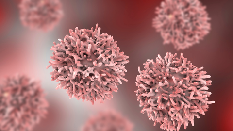 Investigadores confirman el potencial preventivo de la dieta frente al c&aacute;ncer de pr&oacute;stata, mama y colon-recto