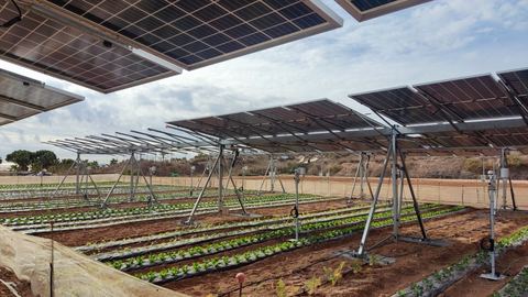 Sistemas agrovoltaicos