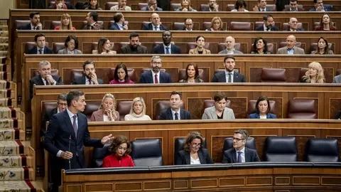 El presidente del Gobierno, Pedro S&aacute;nchez, interviene durante una sesi&oacute;n plenaria en el Congreso de los Diputados (foto: EP)
