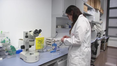 Investigan la fecundaci&oacute;n sin espermatozoides