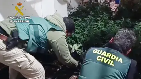 Guardia Civil