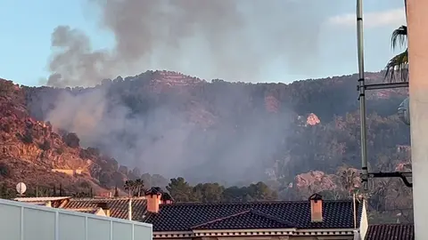 Incendio en la pedan&iacute;a murciana de Torreag&uuml;era (foto: La 7)
