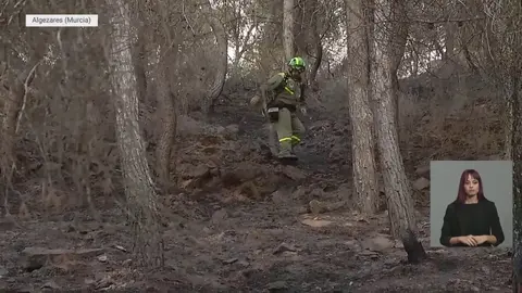 Imagen de la zona del incendio tomada en la ma&ntilde;ana del viernes | La 7