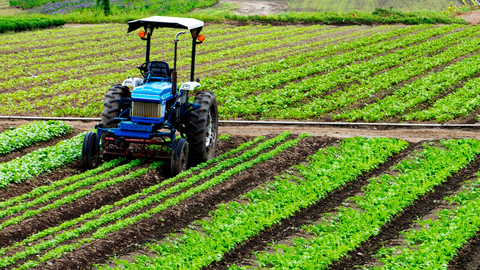 MURCIA.-El Plan Estrat&eacute;gico de la Pol&iacute;tica Agraria Com&uacute;n no reconoce las condiciones agroclim&aacute;ticas de la Regi&oacute;n de Murcia