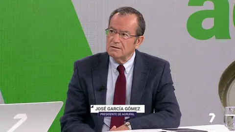Jos&eacute; Garc&iacute;a G&oacute;mez, presidente de Agrupal (foto: La 7)