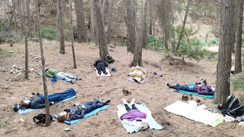 Meditaci&oacute;n en pleno bosque.