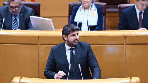 L&oacute;pez Miras, en el Senado
