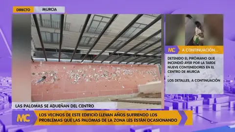 Suciedad, aves muertas y excrementos es lo que encuentran los vecinos de la calle Calder&oacute;n de la Barca de Murcia en sus balcones (foto: La 7)