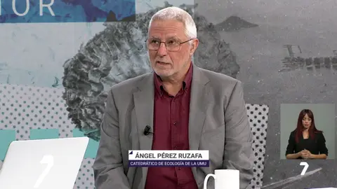 &Aacute;ngel P&eacute;rez Ruzafa, catedr&aacute;tico de Ecolog&iacute;a de la Universidad de Murcia (foto: La 7)