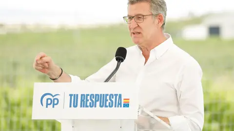 El presidente del Partido Popular, Alberto N&uacute;&ntilde;ez Feij&oacute;o (foto: EP)