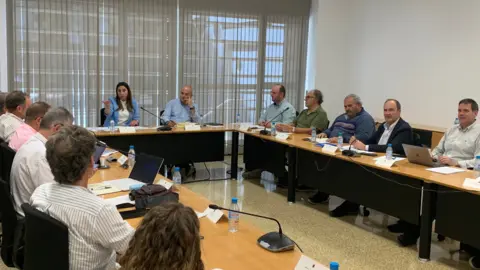 Reuni&oacute;n de la Mesa Regional del C&iacute;trico
