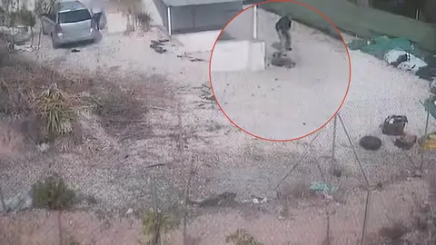 Imagen recogida del v&iacute;deo aportado por un ciudadano an&oacute;nimo en el que se observa a una persona pegando a un perro (foto: GC)