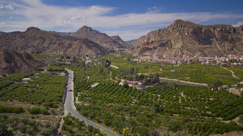 Vista del Valle de Ricote (Foto: Sergio Gonz&aacute;lez)