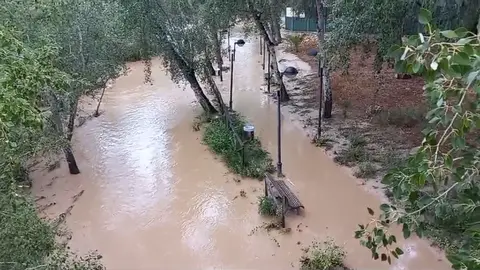 El Segura desbordado a la altura de Abar&aacute;n en la ma&ntilde;ana de este martes (foto: La 7)