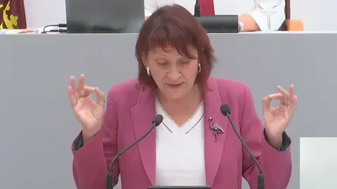 Mar&iacute;a Mar&iacute;n durante su intervenci&oacute;n en la Asamblea Regional
