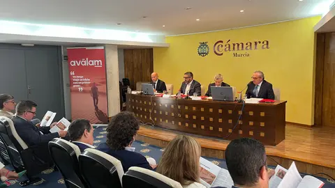 &Uacute;ltima junta general de Av&aacute;lam (foto: Av&aacute;lam)