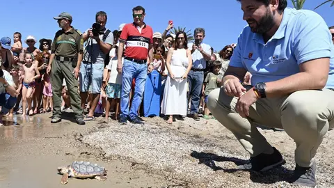 El presidente del Gobierno regional, Fernando L&oacute;pez Miras, durante la suelta de 30 ejemplares de tortuga boba en playa de Isla Playa, en Cartagena (foto: La 7)