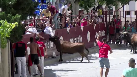 Un hombre recibe tres cornadas en el primer encierro de Moratalla (foto: Moratalla Televisi&oacute;n)