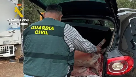 La Guardia Civil recupera las cabezas de ganado robadas en la Regi&oacute;n de Murcia (foto: GC)