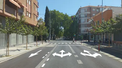Calle Pintor Pedro Flores