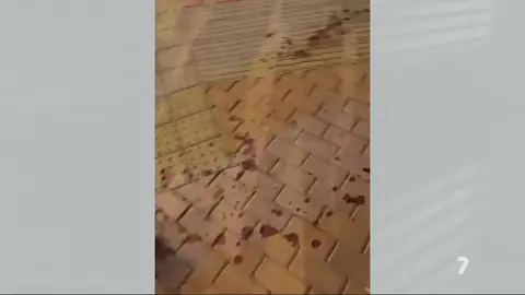 Suceso ocurrido en Cieza (foto: La 7)