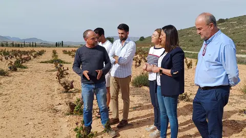 La consejera Sara Rubira visita un cultivo de vi&ntilde;edo en Jumilla (foto: CARM)