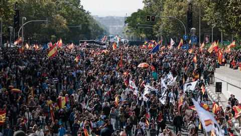 Miles de personas durante una concentraci&oacute;n para pedir elecciones generales, en la Plaza de Castilla. La protesta est&aacute; convocada por la Plataforma por la Espa&ntilde;a Constitucional, constituida por un centenar de asociaciones c&iacute;vicas - Carlos Luj&aacute;n