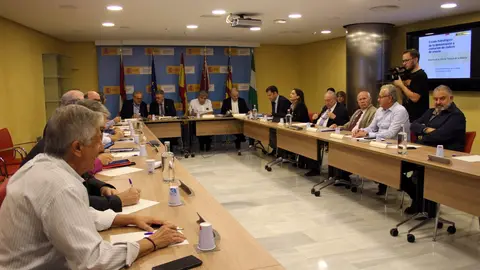 Reuni&oacute;n de la CHS