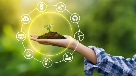 Emprendimiento verde
