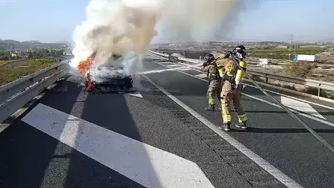 Los bomberos trabajando en el incendio del veh&iacute;culo en la A-33, a la altura de Blanca (foto: 112)