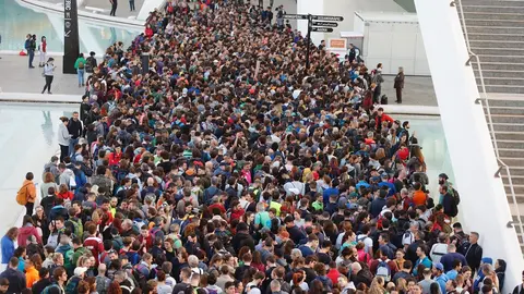 Miles de voluntarios