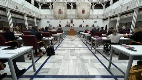 Reuni&oacute;n del Pleno de la Asamblea Regional en sesi&oacute;n de impulso al Consejo de Gobierno (foto: Asamblea Regional de Murcia)