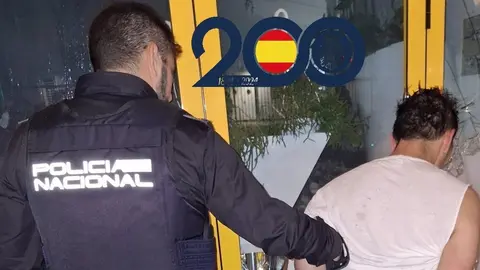 El detenido (foto: PN)