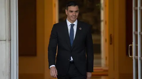 Pedro S&aacute;nchez