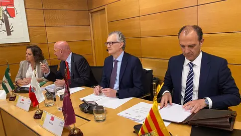 Foto de archivo del pleno del Consejo Interterritorial del Sistema Nacional de Salud - CARM