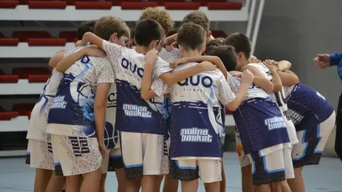 Molina Basket