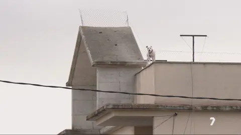 Vivienda en Alquer&iacute;as (foto: La 7)