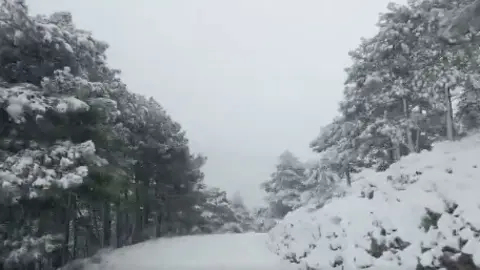 Nieve en Cuerda de la Gitana (Moratalla)