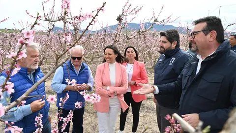 Floraci&oacute;n de Cieza (foto: CARM)