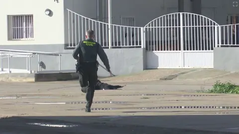 Detenido un hombre por disparar presuntamente contra su exmujer con un arma de fuego en Cartagena