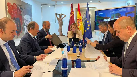 Reuni&oacute;n de los miembros del Comit&eacute; Aranceles presidida por la consejera de Empresa, Empleo y Econom&iacute;a Social, Marisa L&oacute;pez Arag&oacute;n.