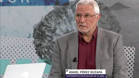 El catedr&aacute;tico de Ecolog&iacute;a de la Universidad de Murcia y presidente del Comit&eacute; de Asesoramiento Cient&iacute;fico del Mar Menor, &Aacute;ngel P&eacute;rez Ruzafa (foto: La 7)