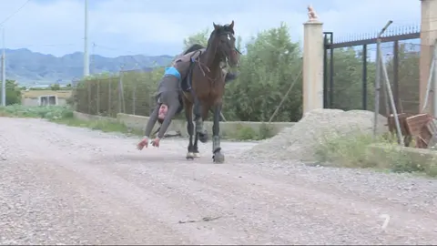 Loli Bonaque, la &uacute;nica mujer caballista capaz de hacer todo tipo de 'volteos' a lomos de su caballo (foto: La 7)