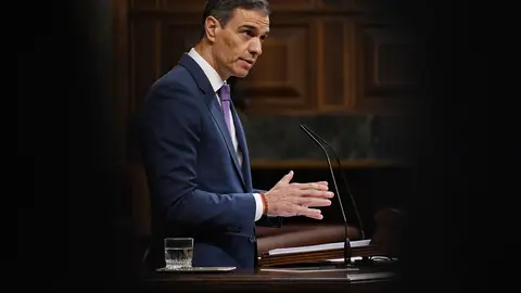 S&aacute;nchez comparece en el Congreso